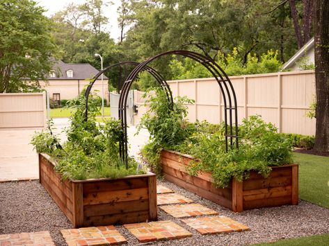 The Absolute Best Garden Lover Gift • Gardenary Cedar Kitchen, Veggie Garden Design, Backyard Raised Garden, Grill Patio, Steel Edging, Cedar Raised Garden Beds, Raised Vegetable Gardens, Arch Trellis, Cedar Garden