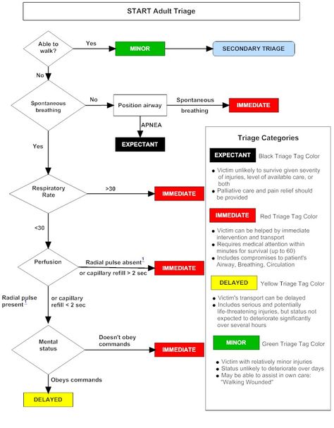 Emt School, Triage Nursing, Er Nursing, Emt Study, Nurse Teaching, Paramedic School, Nursing Skills, Flow Diagram, Nursing Assessment