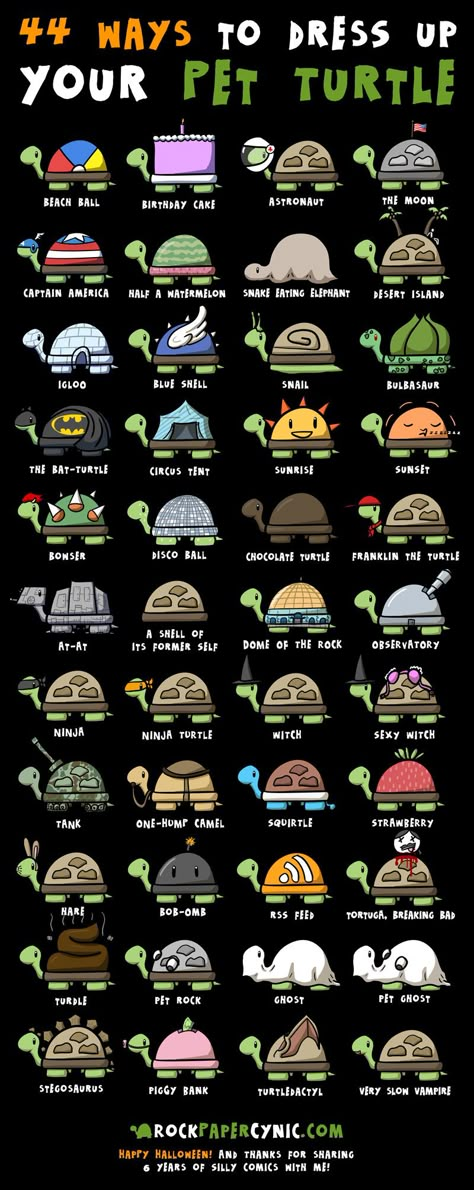 Halloween costumes for your pet turtle! <3 Turtles Pet, Sheldon The Tiny Dinosaur, Types Of Turtles, Tortoise Care, Tortoise Habitat, Turtle Time, Chocolate Turtles, Turtle Drawing, Pet Turtle