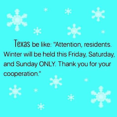 I need this in my life! Texas Weather Humor, Texas Jokes, Weather Humor, Texas Bucket List, Southern Things, Texas Winter, Weather Memes, Texas Humor, Only In Texas