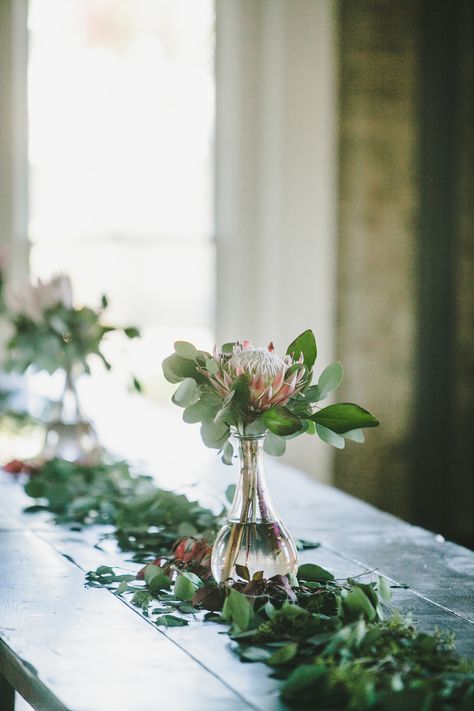 Protea Centerpiece, Protea Wedding, Beautiful Wedding Centerpiece, Cheap Wedding Flowers, Tafel Decor, King Protea, Beach Wedding Flowers, Unique Wedding Flowers, Eucalyptus Garland