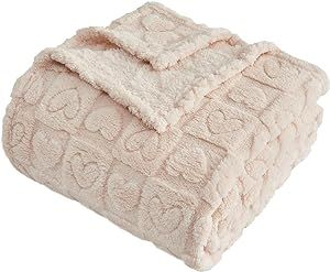 Night Picnic, Father Gifts, Sofa Bed Office, Fuzzy Blanket, Blanket For Couch, Bed Office, Dorm Room Essentials, Fluffy Blankets, Sofa Couch Bed