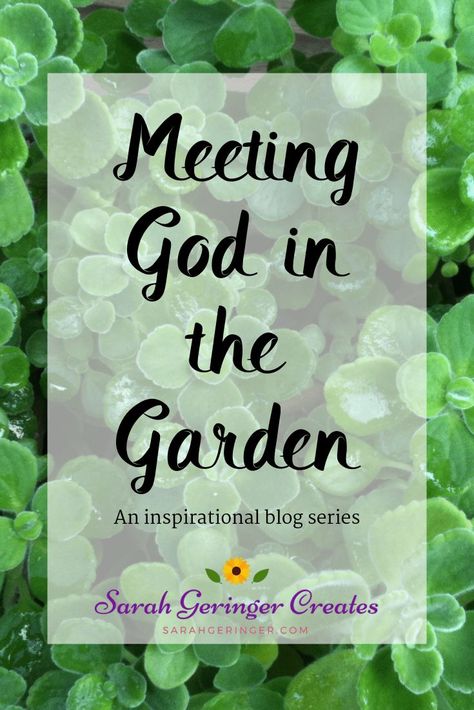 In my gardens, I feel a pull toward heaven. I truly enjoy meeting God in the garden and I hope you do as well. #garden #gardening #faith #inspiration Gardening Quotes Inspirational, Well Garden, Bible Garden, Spiritual Garden, Tattoo Plant, Prayer Garden, Small Backyard Ideas, Aesthetic Garden, Formal Garden