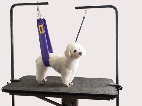 The Belly Band: Pet/Dog Grooming Safety Harness Restraint Loop Band | eBay Grooming Table, Dog Grooming Styles, Dog Grooming Shop, Dog Washing Station, Grooming Style, Dog Salon, Grooming Shop, Giant Breeds, Safety Harness