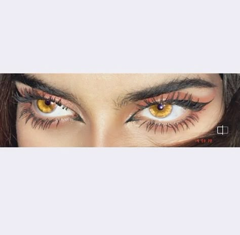 Gold Eyes Aesthetic, Amber Eyes Aesthetic, Yellow Eyes Aesthetic, Honey Eyes Color, Amber Eyes Color, Spring Eye Makeup, Honey Eyes, Thick Brows, Amber Eyes