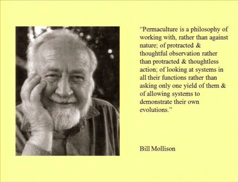 Andy Patterson Permaculture: Bill Mollison Quotes Bill Mollison, Permaculture Principles, Victory Garden, Permaculture Gardening, Permaculture Design, Edible Garden, Grow Your Own, Real Man, Permaculture