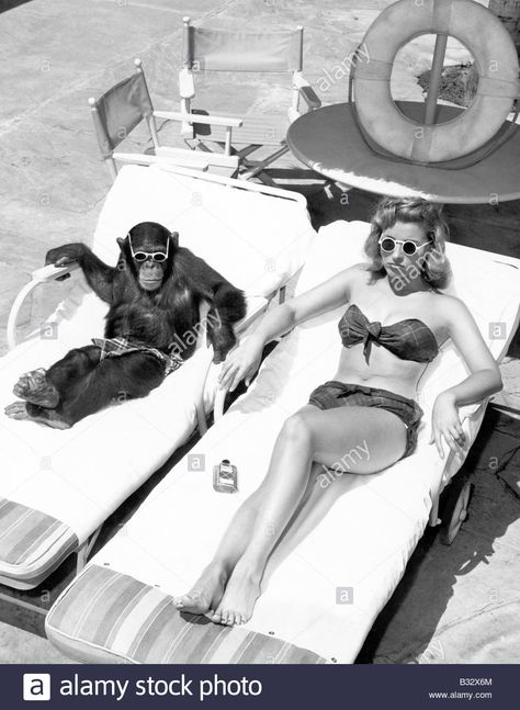 Download this stock image: Chimpanzee and a woman sunbathing - b32x6m from Alamy's library of millions of high resolution stock photos, illustrations and vectors. Wendover Art Group, Lake Pictures, Framing Photography, Laser Hair, Laser Hair Removal, Vintage Photographs, Up Girl, Vintage Images, White Photography