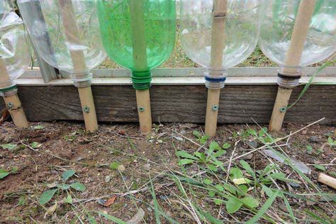 Greenhouse Goals, Unique Greenhouse, Pallet Greenhouse, Bottle Greenhouse, Rustic Greenhouses, Porch Greenhouse, Plastic Bottle Greenhouse, Homemade Greenhouse, Beautiful Greenhouse