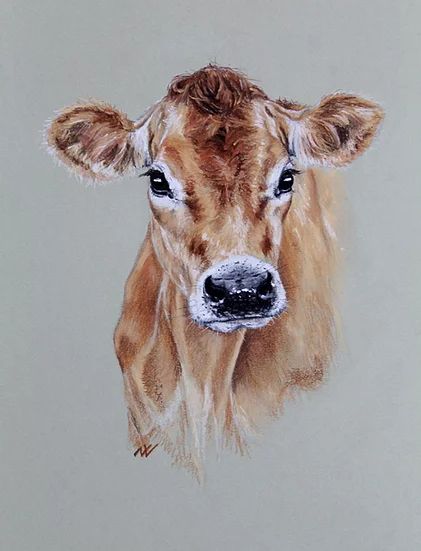 Portraits Pastel, Cow Artwork, Cow Drawing, Drawing Realistic, Pencil Portraits, Jersey Cow, Cow Face, Cow Pictures, Brown Cow