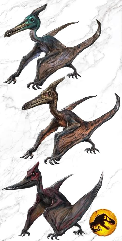 Jurassic Park Raptor, Types Of Dinosaurs, Jurassic Park Poster, Jurassic Park 1993, Eagle Painting, Dinosaur Images, Dinosaur Drawing, Dragon Images, Jurassic World Dinosaurs