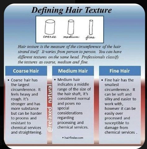 Cosmetology School Tips, Cosmetology Notes, Cosmetology Tips, Cosmetology State Board, Cosmetology Instructor, Hair Knowledge, Natural Hair Textures, Hair Theory, Beauty School Cosmetology