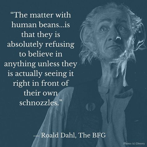 Bfg Display, Famous Film Quotes, Bfg Movie, Ronald Dahl, Weird Watch, Roald Dahl Quotes, The Bfg, Get Ready For Christmas, Human Bean