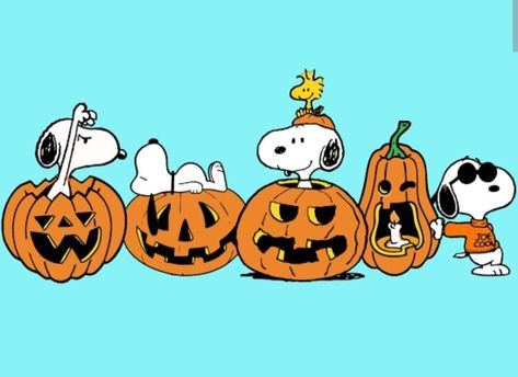 Cute Halloween Backgrounds, Wallpaper Snoopy, Charlie Brown Halloween, Peanuts Halloween, Halloween Wallpapers, Snoopy Halloween, Creepy Christmas, Halloween Rocks, Snoopy Images