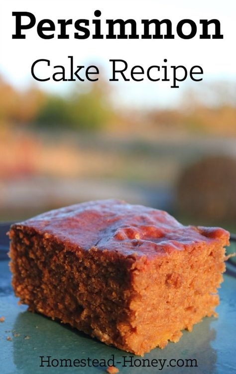 Perssimon Tree, American Persimmon Recipes, Wild Persimmon Recipes, Hachiya Persimmon Recipes, Fuyu Persimmon Recipes, Persimmons Recipes, Persimmon Cake Recipe, Persimmon Cake, Fuyu Persimmon