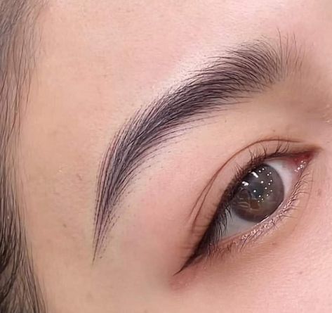 Tatoo Eyeliner, Hairstroke Eyebrows, Microblading Eyeliner, Lip Color Tattoo, Eyebrows Tattoo, Eyebrows Microblading, Permanent Makeup Eyeliner, Permanente Make-up, Eyeliner Shapes