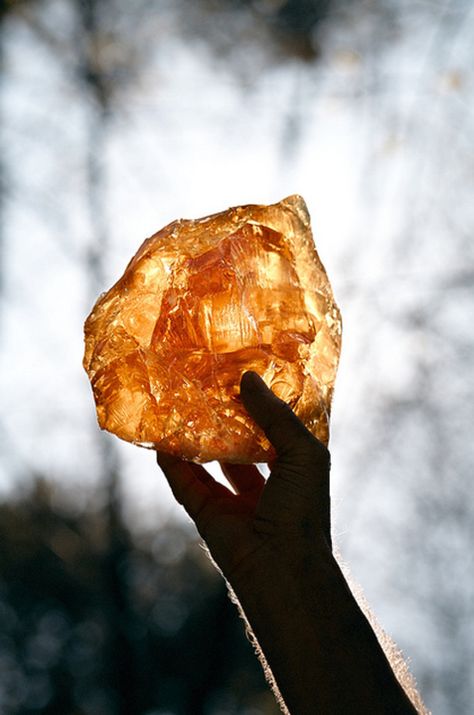 Amber Amber Fossils, Beautiful Rocks, Rocks And Gems, Minerals And Gemstones, Amber Jewelry, Gems And Minerals, Stone Rocks, Crystal Gems, Crystals Minerals