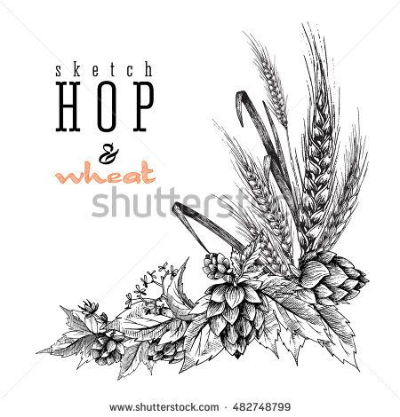 Hop Tattoo, Beer Tattoos, Beer Hops, Diy Outdoor Bar, Branch Vector, Wheat Design, Pub Design, Paint Bar, Beer Art