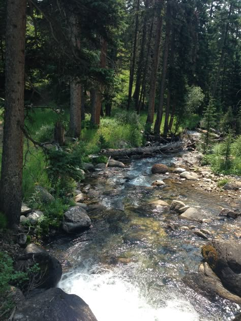 Big Forest, Big Sky Montana, Pretty Landscapes, Big Sky, Alam Yang Indah, Nature Aesthetic, Pretty Places, Nature Scenes, Go Outside