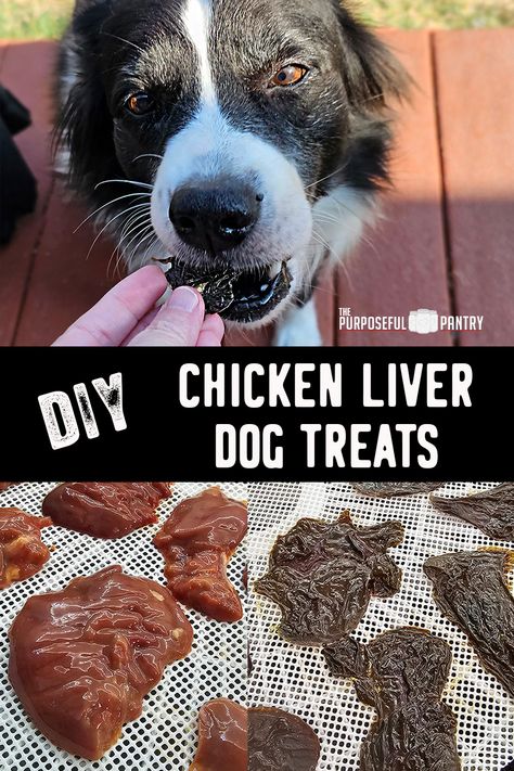 Create these taste dehydrated chicken liver treats for your favorite pup! Save a ton of money by making these yourself at home, and make your dog super happy with tasty treats they'll love! Dehydrated Chicken Liver Dog Treats, Chicken Liver Dog Treats, Liver Treats For Dogs, Purposeful Pantry, Liver Dog Treats, Dehydrated Chicken, Animal Treats, Potato Flakes, Treats For Dogs