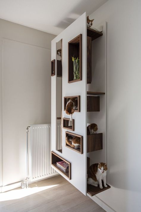 Built In Shelves Living Room Asymmetrical, Cat Wall House, Hidden Cat Door In Door, Modern Cat Room, Unique Cat Furniture, Wall Mount Cat Furniture, Built In Cat Tree, Cat Feeding Area Ideas, Cat Room Office