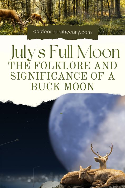 Buck Moon Meaning, Moons Of The Year, Full Moon July, Witchy Rituals, Full Moon Meaning, Full Buck Moon, Full Moon In Capricorn, Happy Full Moon, Hay Meadow