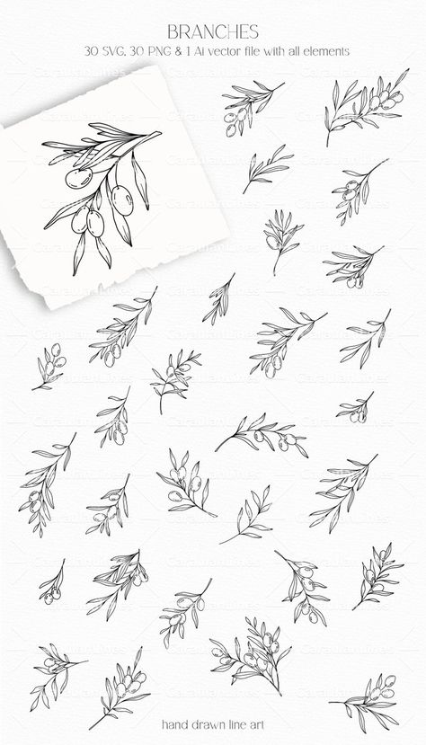 Olive Clipart, Botanical Line Art, Olive Wreath, Art Advertisement, Wreath Svg, Clipart Design, Art Png, Art Clipart, Olive Branch