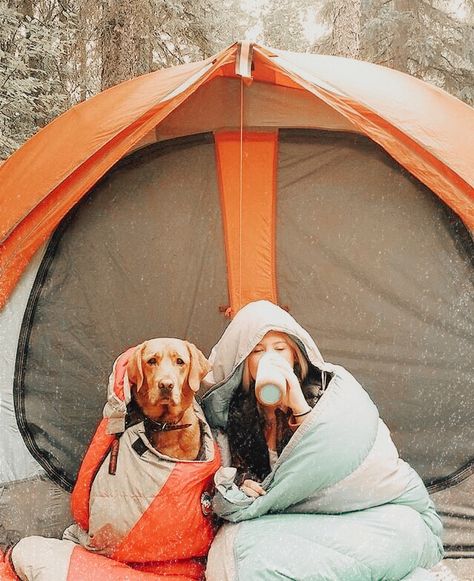 Camper Dog, Indoor Dog Potty, Camping Desserts, Camping Snacks, Dog Potty, Camping Photography, Dog Camping, Hiking Dogs, Indoor Dog