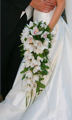 Orchid Bouquet Wedding, Shower Bouquet, Lily Bridal Bouquet, Dendrobium Orchid, Simple Wedding Bouquets, Cymbidium Orchid, Beach Wedding Centerpieces, Cascading Wedding Bouquets, Flower Girl Bouquet