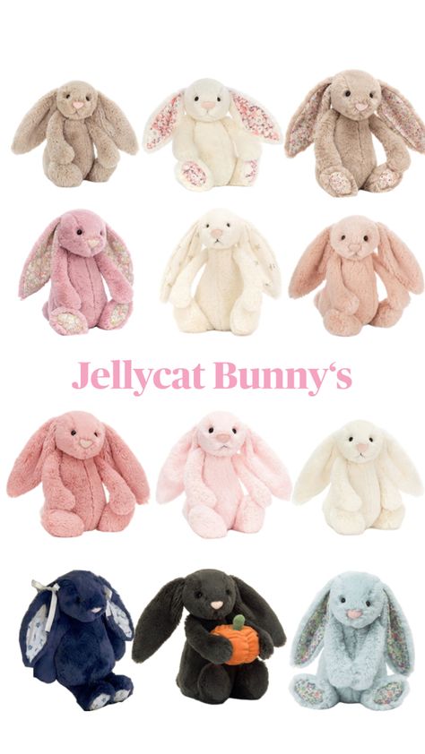 Jellycat Bunnies, Jellycat Bunny, Jellycat Stuffed Animals, Cute Stuffed Animals, Cute Plush, Animated Characters, Christmas Wishlist, Christmas List, Christmas