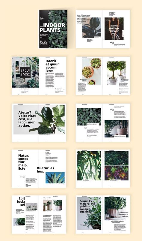 Eco Magazine Design, Floral Magazine Layout, Plant Book Cover, Plant Magazine Layout, Magazine Layout Design Aesthetic, Aesthetic Magazine Layout, Plant Magazine, Magazine Cover Layout, Booklet Layout