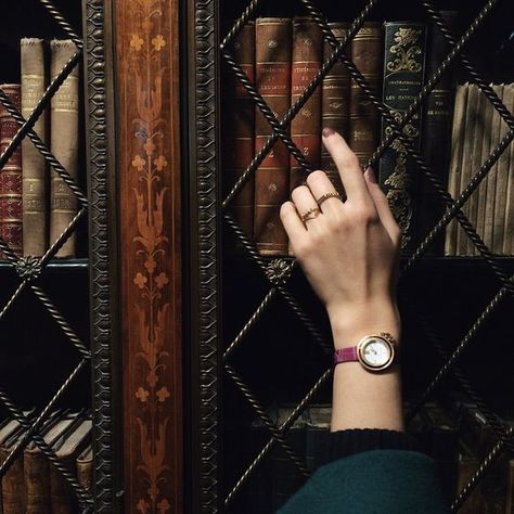 Gryffindor Aesthetic, Antique Bookcase, Jessica Day, Allison Argent, Bellatrix Lestrange, Hogwarts Aesthetic, Lily Evans, Ginny Weasley, Dragon Age Inquisition