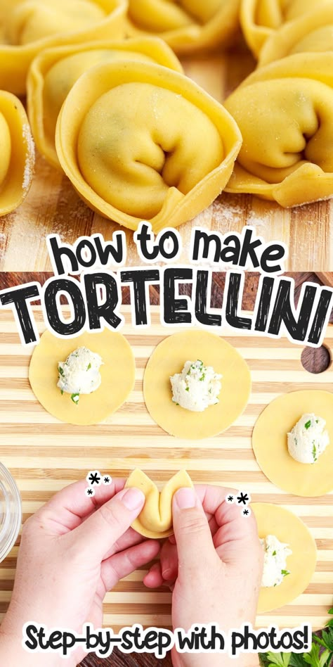 Learn how to make tortellini pasta filled with cheese from scratch to serve with your favorite meat, alfredo, marinara, or pesto sauce! How To Make Cheese Tortellini, Tortellini Homemade How To Make, Tortellini Recipes Homemade, Tortellini Filling Ideas, Homemade Pasta Shells, Homemade Italian Pasta Recipes, Diy Tortellini, How To Cook Tortellini Pasta, How To Make Tortellini Pasta