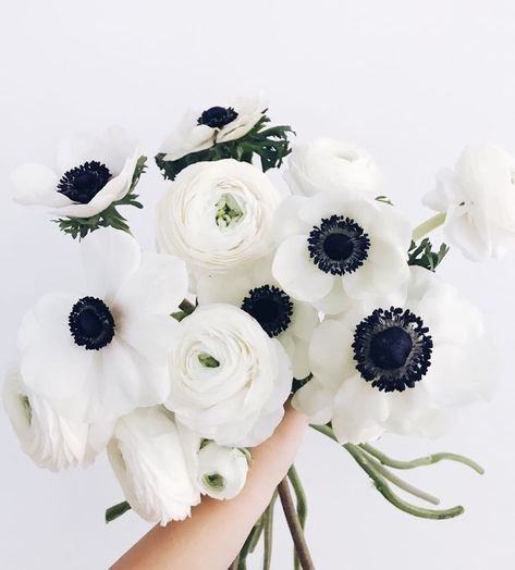 Fanny Staaf Events on Instagram: “Why get married in winter you ask? Well.... 😍⁠ .⁠ #bestflowerseason #ranunculus #anemones #weddingplanner #bröllopskoordinator…” Anemones Wedding Bouquet, White Anemone Bridal Bouquet, Anemone Wedding Cake, Anemone And Ranunculus Bouquet, White Anemone Centerpiece, Peony And Anemone Bouquet, Italian Anemone, White Anemone Bouquet, Anemone Flower Bouquet