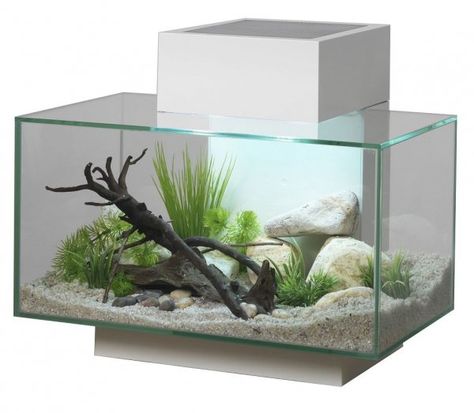 White Aquarium, Fish Tank Themes, Saltwater Aquarium Fish, Fish Tank Stand, Pets At Home, Tank Stand, Nano Aquarium, Fresh Water Fish Tank, Aquascape Aquarium