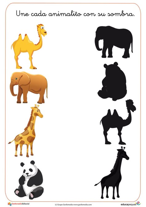 Primary English Activities, Zoo Activities Preschool, Animal Shadow, Zoo Activities, Shadow Matching, Body Parts Preschool, Animal Activities For Kids, Baby Play Activities, Afrikaanse Kunst