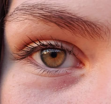 Pictures Of Eyes Close Up, Light Brown Eye Color, Tabatha Ricci, Honey Colored Eyes, Honey Brown Eyes, Brown Green Eyes, Green Brown Eyes, Hazel Brown Eyes, Light Brown Eyes