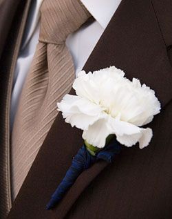 Carnation boutonniere navy blue ribbon Renewal Of Vows Ideas, Carnation Boutonniere, Wedding Alternatives, Sapphire Blue Weddings, Fall Country Wedding, Blue Boutonniere, Prom Corsages, Rockabilly Wedding, Grey Suits