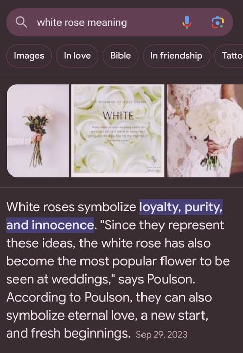 White Roses Meaning, Roses Meaning, Rose Meaning, Meaning Quotes, Fresh Beginnings, Most Popular Flowers, Undying Love, Roses Flower, Flower Meanings