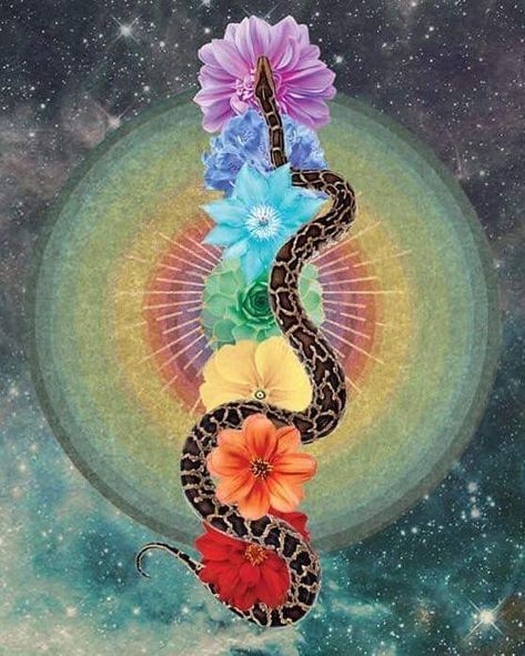 Yoga Kunst, Chakra Tattoo, Awakening Art, Arte Yoga, Kundalini Awakening, Chakra Art, Snake Art, Cosmic Art, Yoga Art