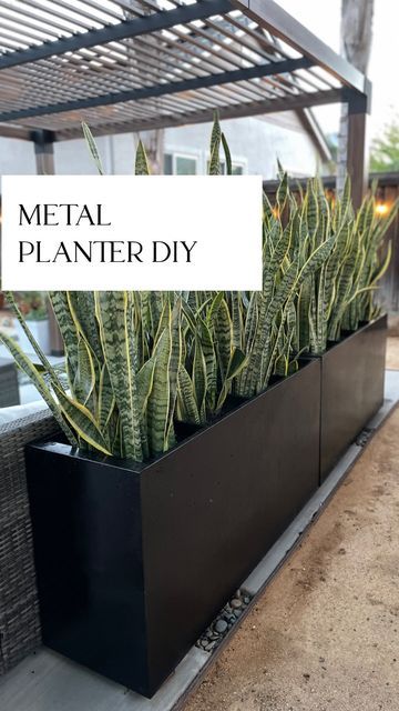 Filing Cabinet Planter, File Cabinet Planter, Big Planters, Metal Garden Beds, Diy Garden Bed, Planters Outdoor, Metal Planter Boxes, Yard Inspiration, Diy Planter Box