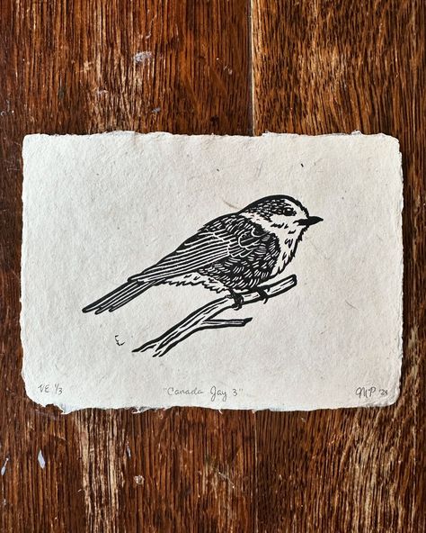 Hello, this is Canada Jay 3 (printed on some lovely @share.studios paper) and he will be available on Friday as part of my Avians series release 🪶 #birds #birdart #birdsofinstagram #grayjay #canadajay #blockprint #printmaking #printmaker #printmakersofinstagram #reliefprinting #speedballart #linocut #blockprinting Cardinal Linocut, Bird Block Print, Canada Jay, Bird Linocut, Gray Jay, Lino Prints, Relief Printing, White Mountains, Simplistic Tattoos