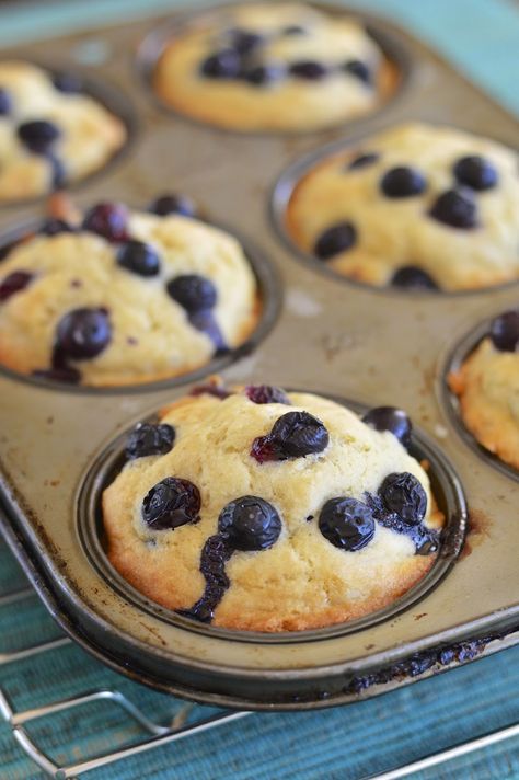 Gluten free blueberry pancake muffins are perfect served warm with a light drizzle of maple syrup #glutenfree #breakfast Gluten Free Pancake Muffins, Pancake Muffins Gluten Free, Gf Lemon Blueberry Muffins, Wfpb Blueberry Muffins, Gf Df Blueberry Muffins, Vegan Gf Blueberry Muffins, Vegan Gluten Free Blueberry Muffins, Gluten Free Pancakes Easy, Mini Pancake Muffins