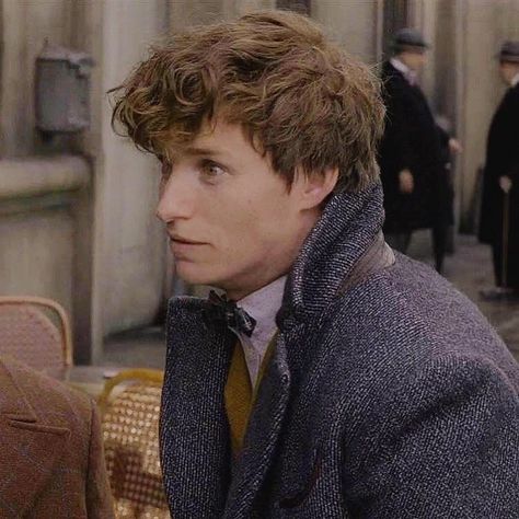 Newt Scamander, Eddie Redmayne, Fantastic Beasts And Where, Newt, Fantastic Beasts, Wizarding World, Harry Potter, Emerald