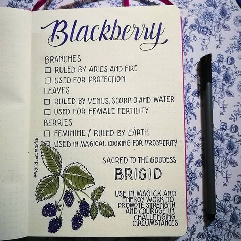 Blackberry Bush, Water Magic, Witch Herbs, Green Witchcraft, Magia Das Ervas, Witchcraft Books, Wiccan Magic, Witch Spirituality, Folk Magic