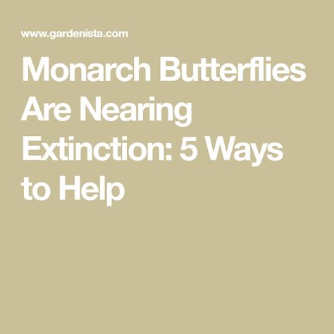 Monarch Butterflies Are Nearing Extinction: 5 Ways to Help Monarch Caterpillar, Overwintering, Monarch Butterflies, Symbiotic Relationships, Land Management, Pollinator Garden, Beneficial Insects, In The News, Plant Combinations