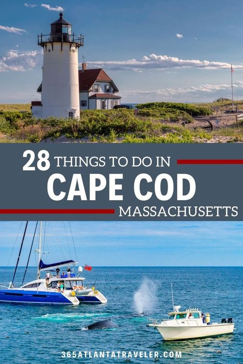 Watch as the sleepy beach towns of Cape Cod come alive in the summer, with stunning beaches, delicious restaurants, and a crowd of fun locals and tourists. Relax with a good book or fill up your time with endless outdoor activities, as Cape caters to all! Here are 28 things to do in Cape Cod that we know you and your crew are going to love. Cape Cod Rail Trail, Massachusetts Travel, Harbor Town, Beach Towns, Cape Cod Massachusetts, Kayak Adventures, Destin Beach, World Travel, Whale Watching