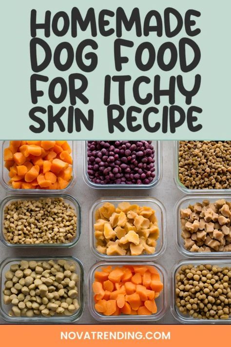 Homemade dog food for itchy skin?  Ten recipes to soothe your pup!  Natural ingredients, easy to make.  Say goodbye to scratching and hello to happy, healthy skin.  Get the recipes now 🐶🐾❤️ Oats For Dogs, Homemade Dog Food Recipes For Itchy Skin, Homemade Weight Management Dog Food, Homemade Dog Food For Itchy Skin, Homemade Dog Food Grain Free, Honey Doodle, Dog Food Homemade, Soft Dog Treats, Dog Eats