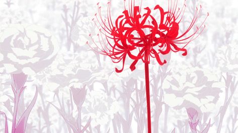 Tokyo Ghoul Flower, Vampire Gif, Anime Tats, Juuzou Tokyo Ghoul, Anime Flower, Red Spider Lily, Tokyo Ghoul Wallpapers, Animated Banners, Wallpaper Flower