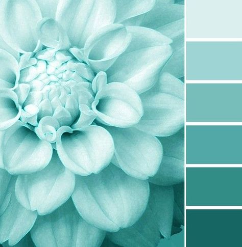 A monochromatic color scheme is just one of the many results from proper use of the color wheel. Explore this tool for color inspiration! Turquoise Color Scheme, Teal Color Palette, Color Schemes Colour Palettes, Monochromatic Color Scheme, Pastel Decor, Shades Of Turquoise, Color Palette Design, Color Harmony, Paint Colors For Home