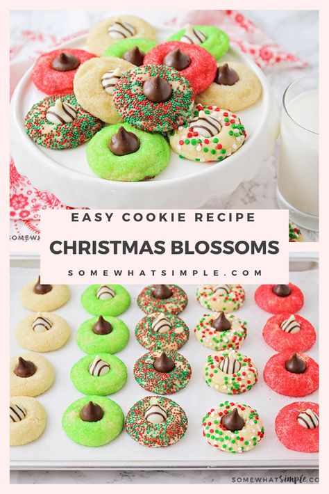 These Christmas blossom cookies are a fun and delicious way to spread some holiday cheer!  Made with your favorite sugar cookie dough, Christmas decorations and a Hershey's Kiss, these cookies are irresistible! These are so easy, they take only minutes to prepare but look like you've been baking all day! via @somewhatsimple Cookie Dough Christmas, Christmas Eats, Holiday Snack, New Year's Desserts, Best Christmas Cookie Recipe, Sugar Cookie Mix, Blossom Cookies, Amazing Desserts, Christmas Cookie Exchange